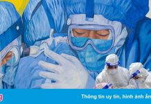 Những bi kịch đằng sau cơn khát chip trên toàn cầu