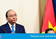 Chủ tịch nước: ‘Tổng thống Putin cảm động vì Việt Nam hiểu nước Nga’