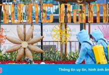 TP.HCM lên kế hoạch đón Tết theo cấp độ dịch