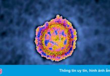 ‘Hồi chuông cảnh tỉnh’ từ biến chủng Omicron