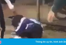 Tạm giữ 4 cô gái hành hung nữ sinh lớp 11