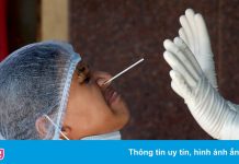 Mối lo Omicron trở thành chủng thống trị