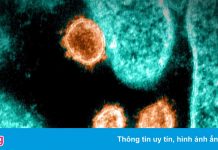 Phát hiện mới về biến chủng Omicron