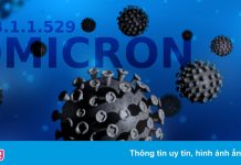 Giả thuyết gây lo ngại về sự tiến hóa của biến chủng Omicron