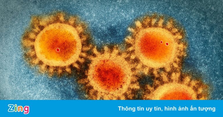 Giới khoa học gấp rút chạy đua phân tích biến chủng Omicron