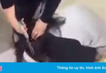 Chủ shop quần áo làm nhục cô gái có thể bị xử lý với 2 tội danh