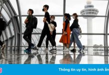 Vì sao Singapore không hoảng sợ trước biến chủng Omicron?