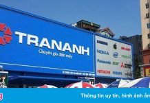 Cổ phiếu của Trần Anh tăng giá 657% sau chuỗi ngày mất thanh khoản