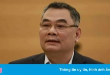 Bộ Công an: Công ty của Chủ tịch Vimedimex có biểu hiện ‘vây thầu’