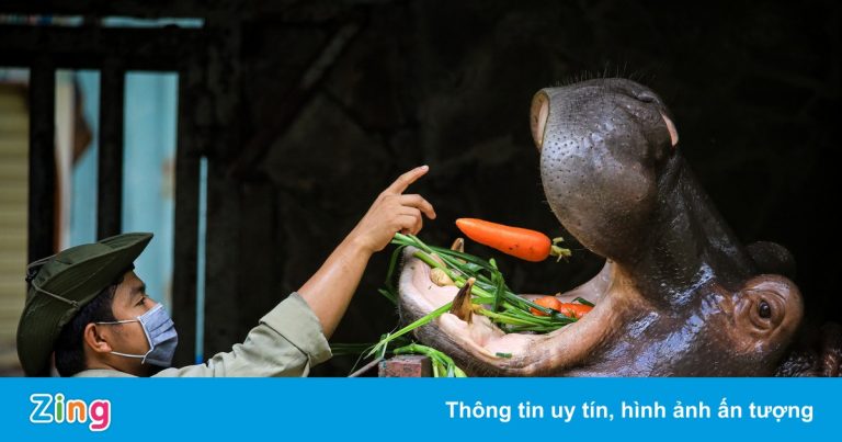 Thảo Cầm Viên Sài Gòn được hỗ trợ hơn 13 tỷ đồng