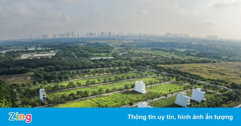 TP.HCM sẽ chuyển đổi công năng hơn 900 ha đất trồng lúa