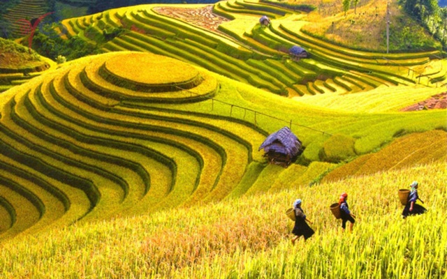 Chia sẻ kinh nghiệm du lịch Hà Giang mùa thu từ A – Z dành cho bạn