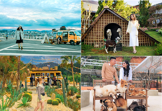 Mua tour Đà Lạt du lịch tết Quý Mão xứ sở tình yêu…
