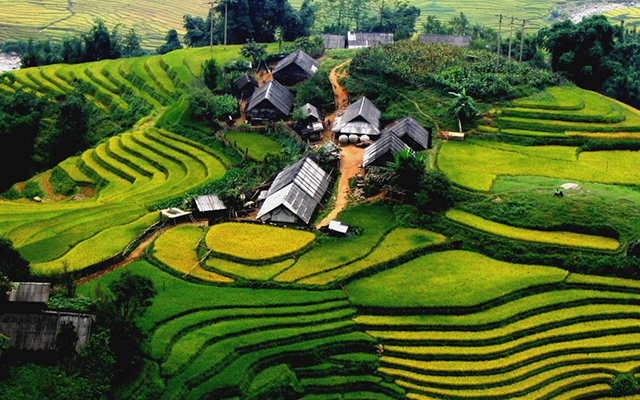 Bản Tả Van địa điểm du lịch Sapa nhiều trải nghiệm thú vị nhất Bản Tả Van địa điểm du lịch Sapa nhiều trải nghiệm thú vị nhất