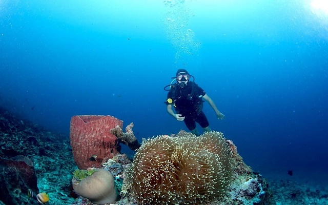 Đảo Bunaken – thiên đường lặn biển lý tưởng trong tour du lịch Indonesia