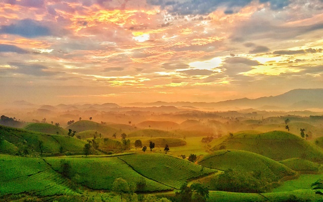 Check in 6 địa điểm nổi tiếng khi đi du lịch Phú Thọ tự túc mùa hè