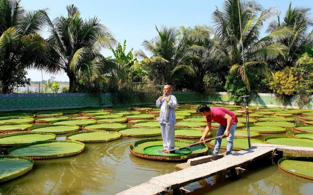 Vãn cảnh chùa Phước Kiển – ngôi chùa độc đáo xứ sen hồng Đồng Tháp