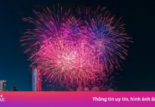 Chính sách đặc biệt và cơ hội sở hữu vé 0 đồng tại DIFF 2025