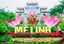 Hà Nội: Festival Hoa Mê Linh lần thứ 2 diễn ra trong 4 ngày