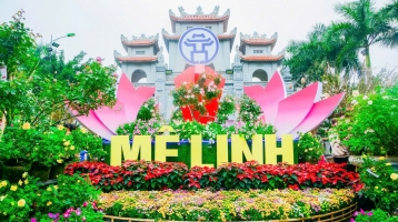 Hà Nội: Festival Hoa Mê Linh lần thứ 2 diễn ra trong 4 ngày