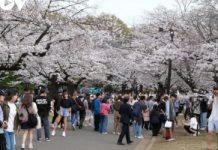 Nhật Bản vừa thu hút khách, vừa lo ứng phó quá tải điểm đến