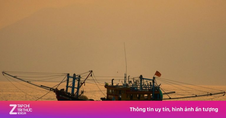 Cẩn trọng mua trúng tour câu mực, săn cá ‘chui’