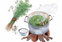 Hương Tết nơi miền thương nhớ