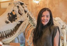 Hà Nội: Quán cà phê trưng bày xương “khủng long”, ngày đón gần nghìn khách