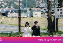 Tỷ giá ra sao khi du lịch với thẻ thanh toán quốc tế?