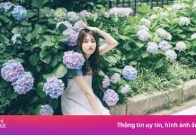 Du lịch nước ngoài, hạn mức thẻ tín dụng bao nhiêu là đủ?