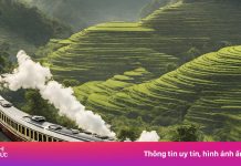 Tôi chi 7.300 USD đi tàu hỏa 7 sao đầu tiên tại Việt Nam