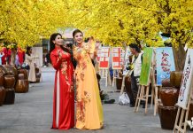 5 địa điểm du lịch hấp dẫn ở miền Nam ‘bùng nổ’ lễ hội chào đón tết Ất Tỵ 2025