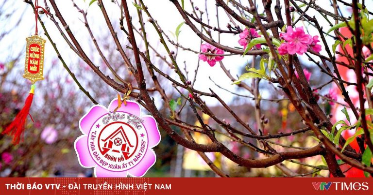 Ngày hội “Hoa đào Buôn Hồ” sẽ là điểm nhấn phát triển du lịch