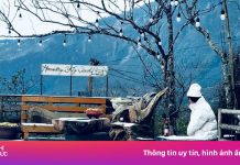 Băng tuyết phủ trắng Y Tý như trời Âu