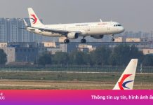 Chuyến bay ở Trung Quốc bị hoãn do thú cưng chạy loạn trong khoang