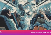 Máy bay gặp sự cố, bạn cuống cuồng, sau đó làm gì?