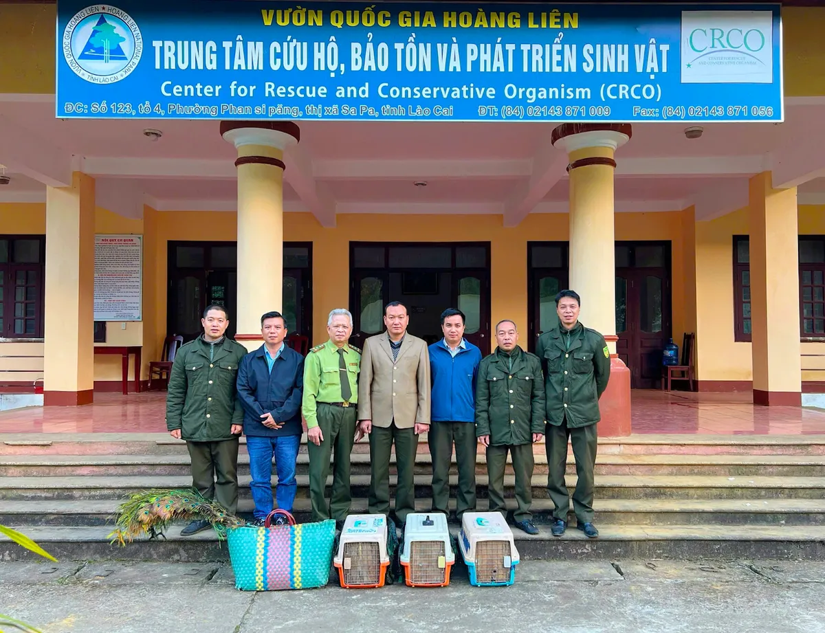 Chàng nhân viên cứu hộ kể chuyện về động vật hoang dã hút triệu view trên mạng xã hội - Ảnh 2.