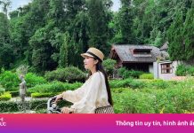 So sánh thẻ thanh toán và tiền mặt khi du lịch nước ngoài