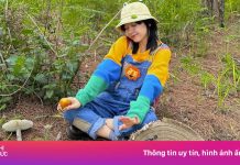 Kéo nhau hái nấm mùa mưa tại Đà Lạt