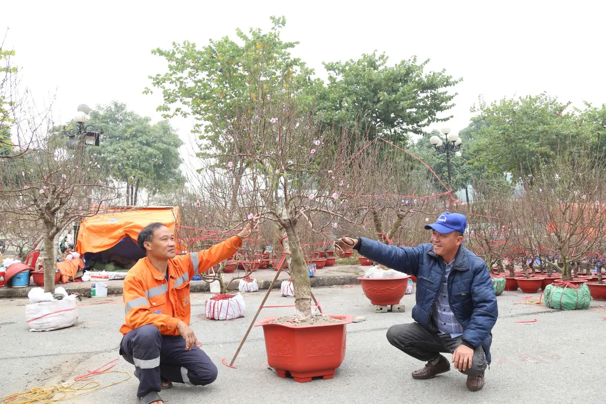 Ninh Bình khai mạc Hội chợ Hoa Xuân Ất Tỵ năm 2025 - Ảnh 8.