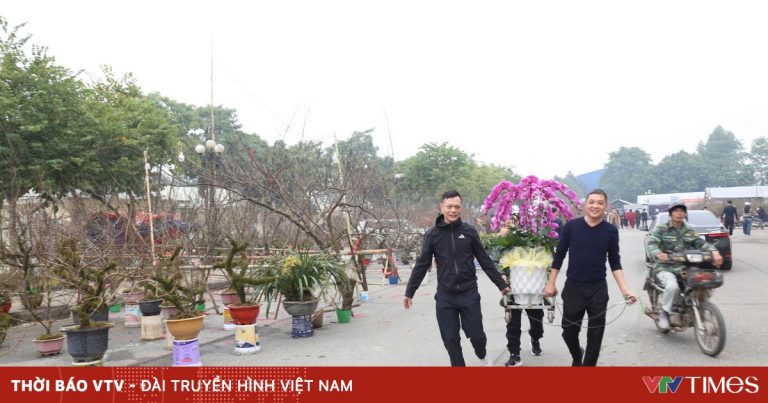 Ninh Bình khai mạc Hội chợ Hoa Xuân Ất Tỵ năm 2025