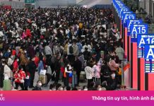 Tết này, khách Trung Quốc không còn là ‘mỏ vàng’