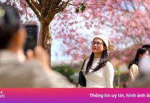 Đà Lạt ‘hot’ dai dẳng mỗi dịp Tết