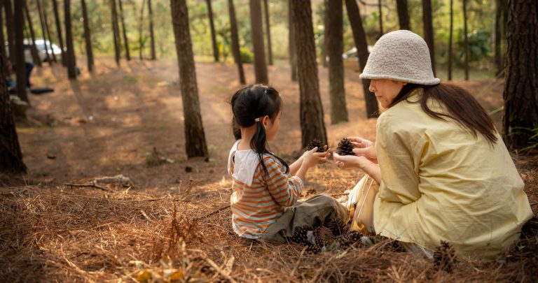 Địa điểm cắm trại như ‘Đà Lạt thu nhỏ’ ở Hà Nội, khách ghé thăm 3 lần chưa chán