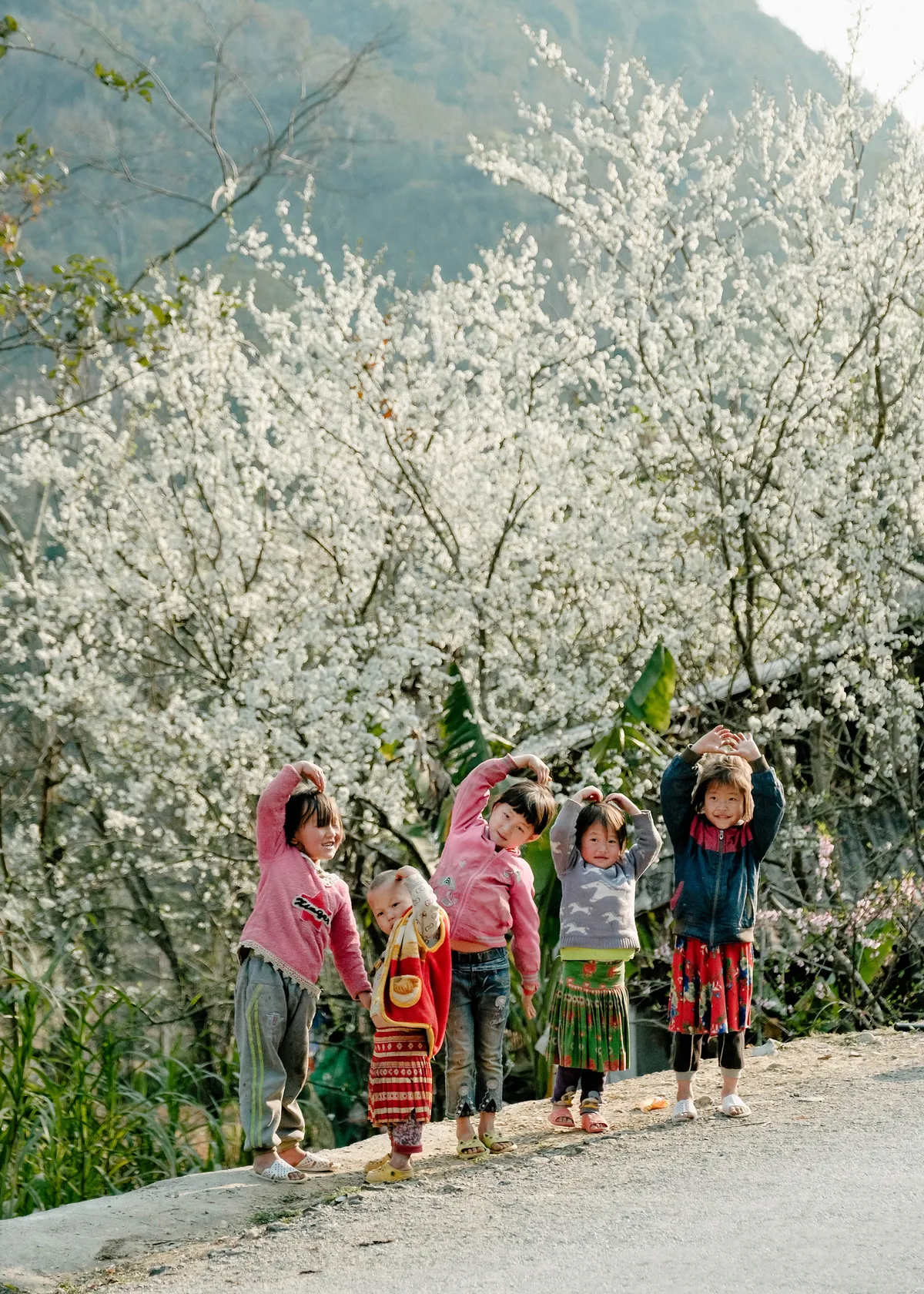 Mùa hoa trên núi - Ảnh 11.