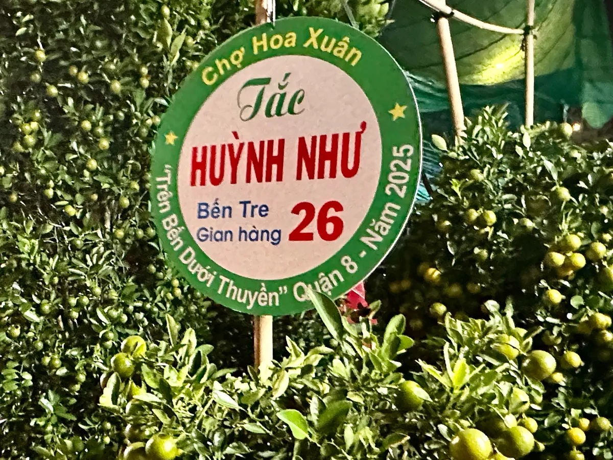 TP Hồ Chí Minh khai mạc Chợ hoa xuân “Trên bến dưới thuyền - Ảnh 10.