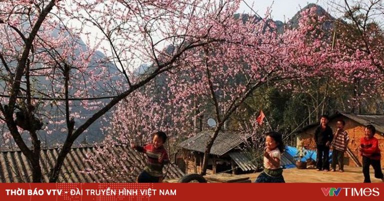 Du xuân Sapa 2025 hành trình khám phá nàng thơ Tây Bắc