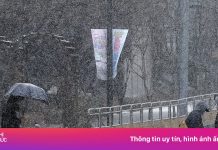 Tết Nguyên đán tuyết rơi dày nhất 30 năm tại Hàn Quốc