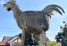 Lâm Đồng: Ly kỳ chuyện tình dưới chân núi Voi và tục con gái “bắt chồng”