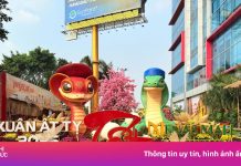 Đường hoa Menas Mall – điểm du xuân mới của người dân TP.HCM